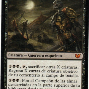 Campeón de las almas descarriadas // Champion of Stray Souls